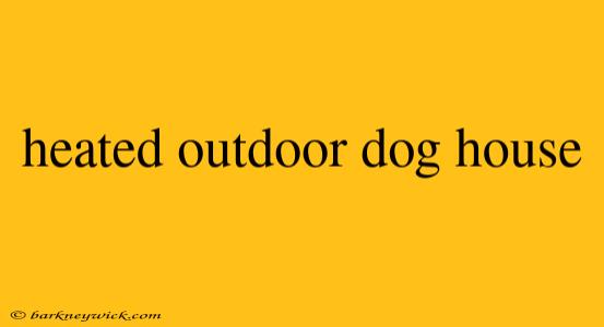 heated outdoor dog house