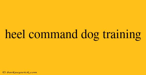 heel command dog training