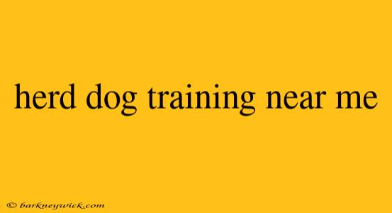 herd dog training near me