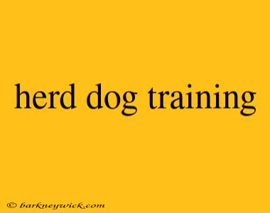 herd dog training