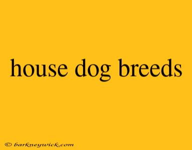 house dog breeds