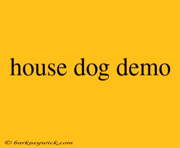 house dog demo