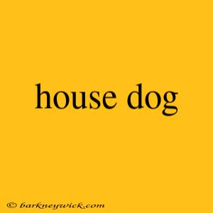 house dog