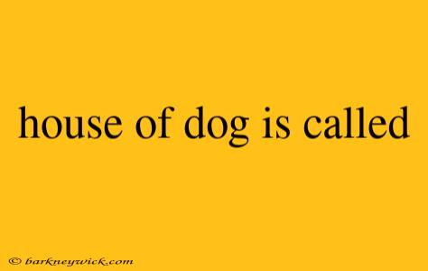 house of dog is called