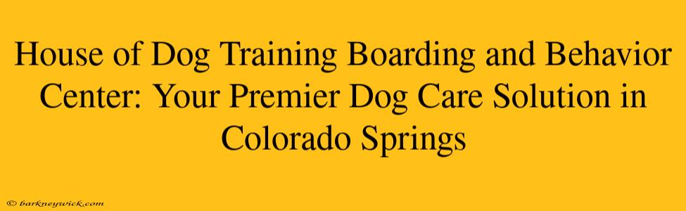 House of Dog Training Boarding and Behavior Center: Your Premier Dog Care Solution in Colorado Springs