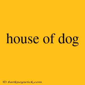 house of dog