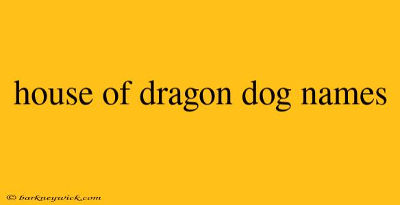 house of dragon dog names