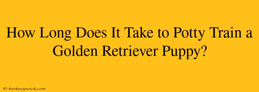 How Long Does It Take to Potty Train a Golden Retriever Puppy?