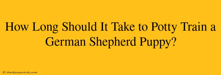 How Long Should It Take to Potty Train a German Shepherd Puppy?