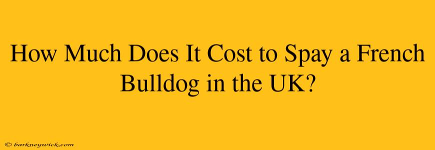 How Much Does It Cost to Spay a French Bulldog in the UK?