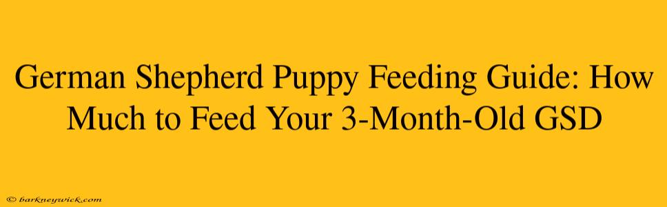 German Shepherd Puppy Feeding Guide: How Much to Feed Your 3-Month-Old GSD