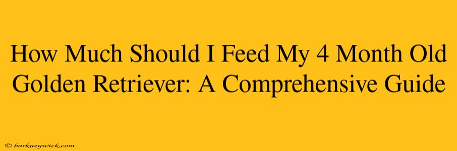 How Much Should I Feed My 4 Month Old Golden Retriever: A Comprehensive Guide