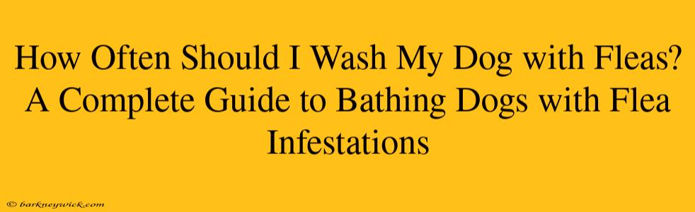 How Often Should I Wash My Dog with Fleas? A Complete Guide to Bathing Dogs with Flea Infestations