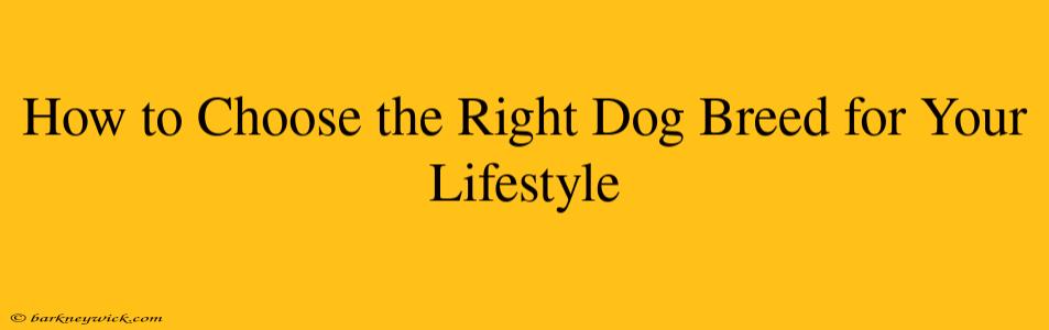 How to Choose the Right Dog Breed for Your Lifestyle