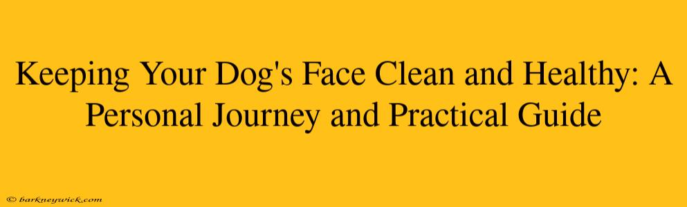 Keeping Your Dog's Face Clean and Healthy: A Personal Journey and Practical Guide