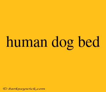 human dog bed