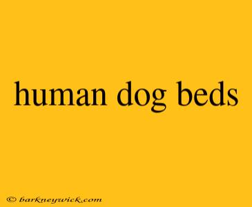 human dog beds