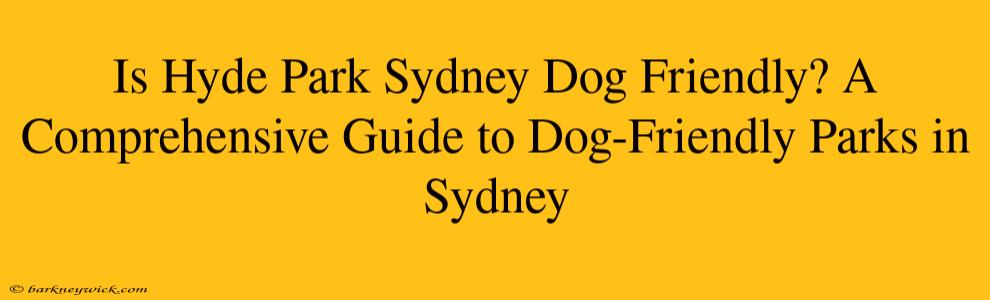 Is Hyde Park Sydney Dog Friendly? A Comprehensive Guide to Dog-Friendly Parks in Sydney