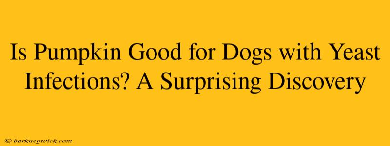 Is Pumpkin Good for Dogs with Yeast Infections? A Surprising Discovery