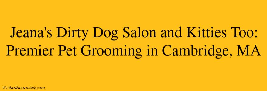 Jeana's Dirty Dog Salon and Kitties Too: Premier Pet Grooming in Cambridge, MA