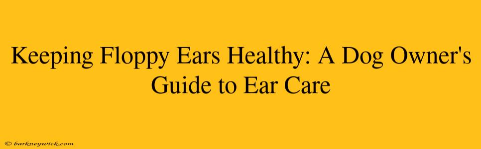 Keeping Floppy Ears Healthy: A Dog Owner's Guide to Ear Care