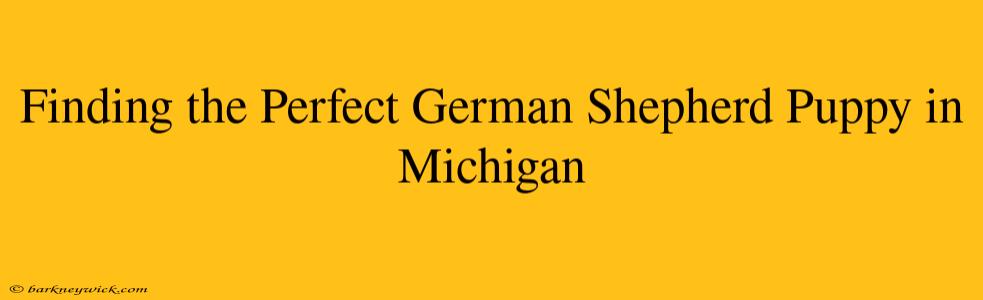 Finding the Perfect German Shepherd Puppy in Michigan