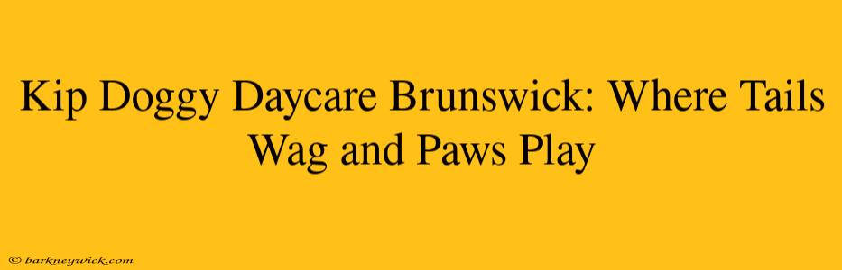 Kip Doggy Daycare Brunswick: Where Tails Wag and Paws Play