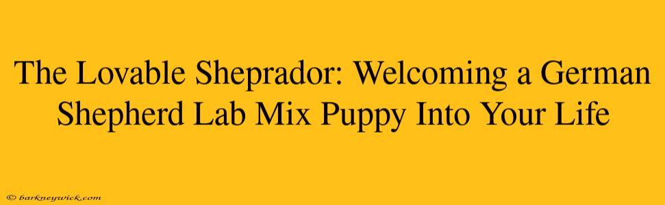 The Lovable Sheprador: Welcoming a German Shepherd Lab Mix Puppy Into Your Life