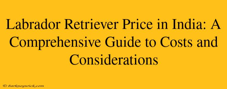 Labrador Retriever Price in India: A Comprehensive Guide to Costs and Considerations