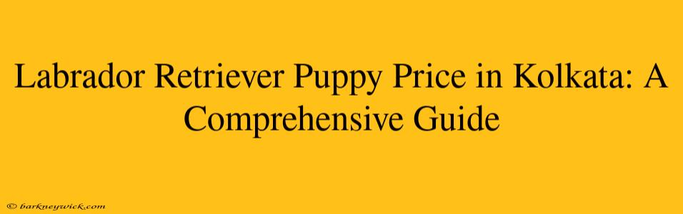 Labrador Retriever Puppy Price in Kolkata: A Comprehensive Guide