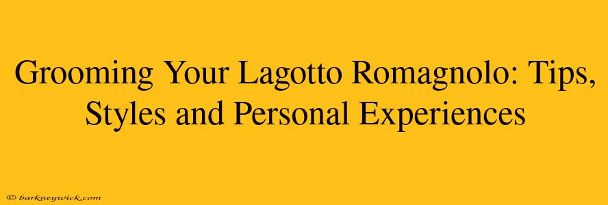 Grooming Your Lagotto Romagnolo: Tips, Styles and Personal Experiences 