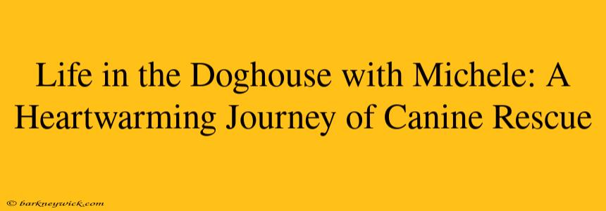 Life in the Doghouse with Michele: A Heartwarming Journey of Canine Rescue