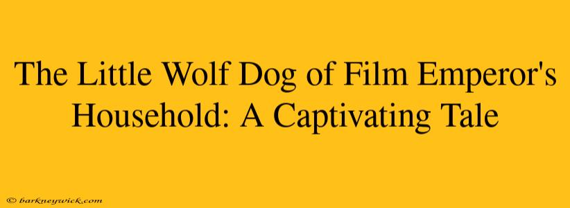 The Little Wolf Dog of Film Emperor's Household: A Captivating Tale