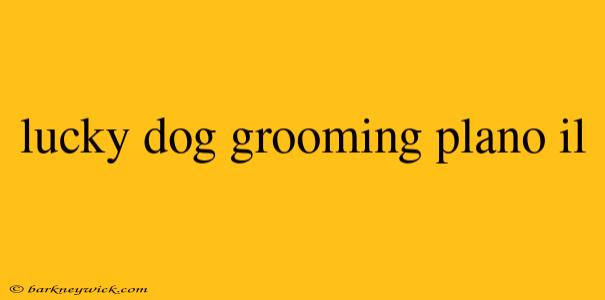 My Delightful Experience at Lucky Dog Grooming in Plano, IL