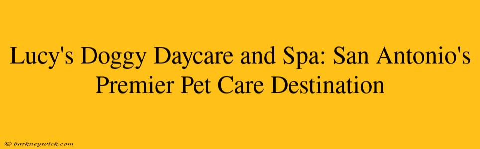 Lucy's Doggy Daycare and Spa: San Antonio's Premier Pet Care Destination