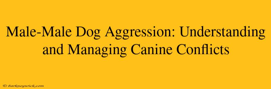 Male-Male Dog Aggression: Understanding and Managing Canine Conflicts