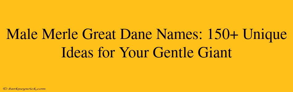 Male Merle Great Dane Names: 150+ Unique Ideas for Your Gentle Giant