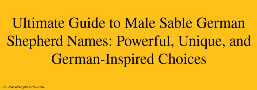 Ultimate Guide to Male Sable German Shepherd Names: Powerful, Unique, and German-Inspired Choices