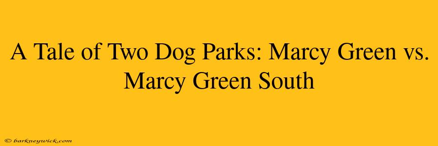 A Tale of Two Dog Parks: Marcy Green vs. Marcy Green South