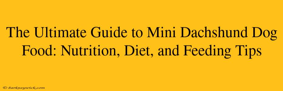 The Ultimate Guide to Mini Dachshund Dog Food: Nutrition, Diet, and Feeding Tips