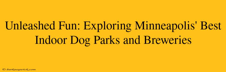 Unleashed Fun: Exploring Minneapolis' Best Indoor Dog Parks and Breweries 