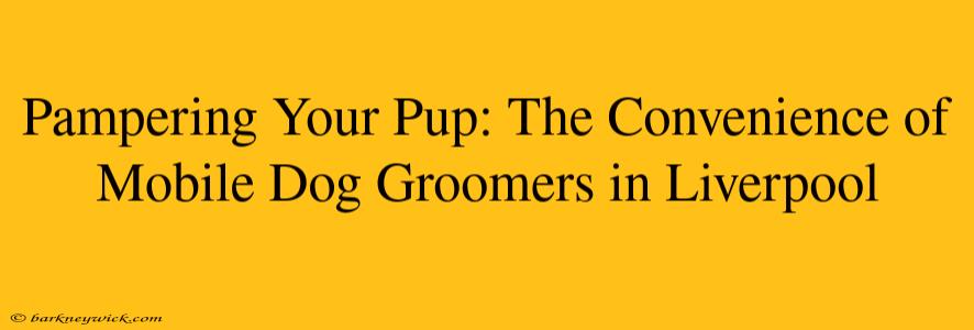 Pampering Your Pup: The Convenience of Mobile Dog Groomers in Liverpool