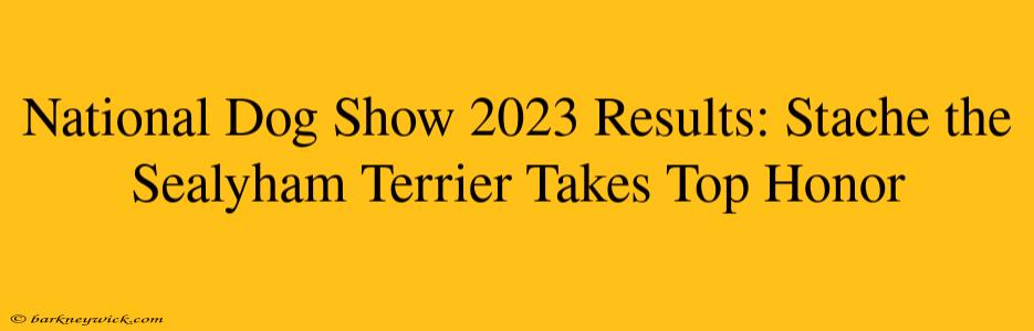 National Dog Show 2023 Results: Stache the Sealyham Terrier Takes Top Honor