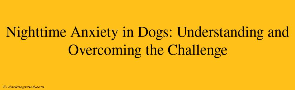 Nighttime Anxiety in Dogs: Understanding and Overcoming the Challenge