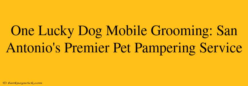 One Lucky Dog Mobile Grooming: San Antonio's Premier Pet Pampering Service