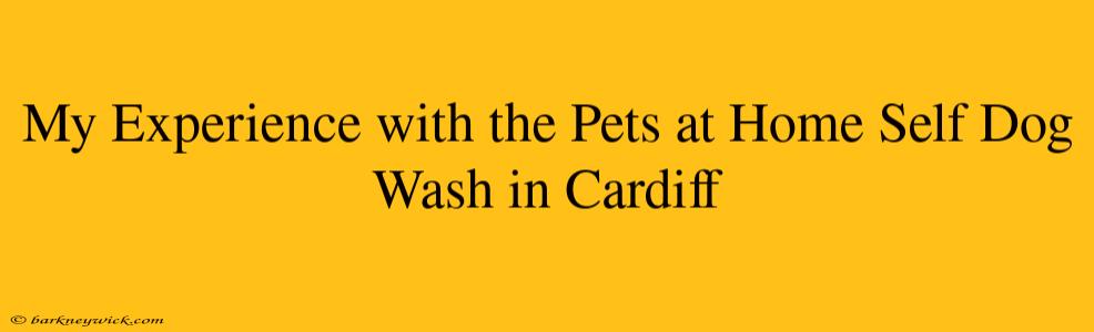 My Experience with the Pets at Home Self Dog Wash in Cardiff