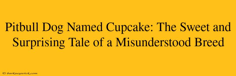 Pitbull Dog Named Cupcake: The Sweet and Surprising Tale of a Misunderstood Breed