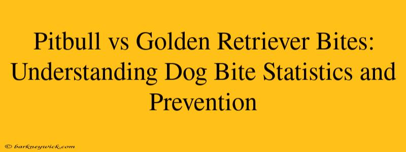 Pitbull vs Golden Retriever Bites: Understanding Dog Bite Statistics and Prevention