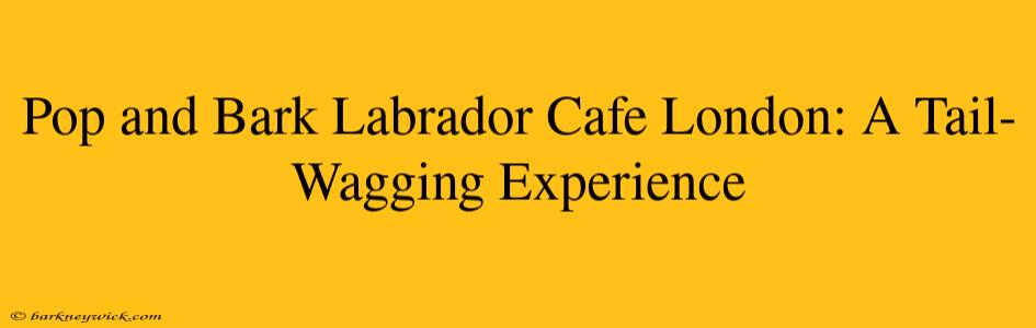 Pop and Bark Labrador Cafe London: A Tail-Wagging Experience