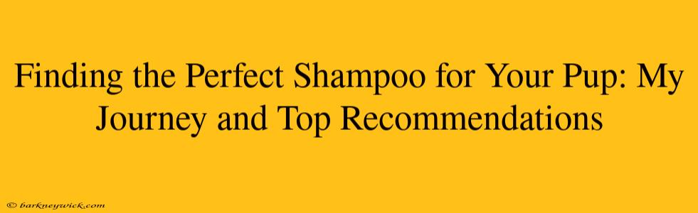 Finding the Perfect Shampoo for Your Pup: My Journey and Top Recommendations